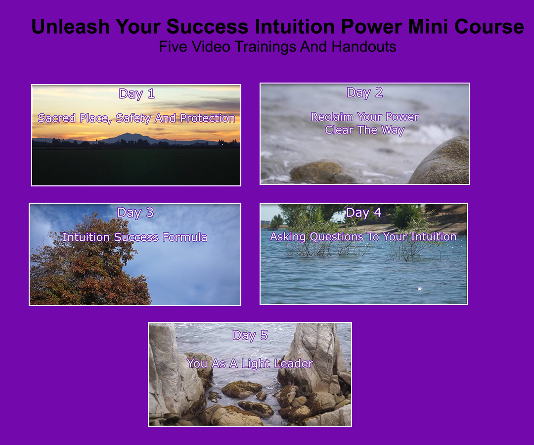 Soul Aligned Success Bundle Delivery